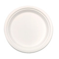 Biodegradable sugarcane packaging plates party tableware